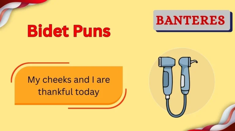 Bidet Puns