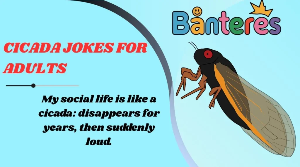 Cicada Jokes for Adults