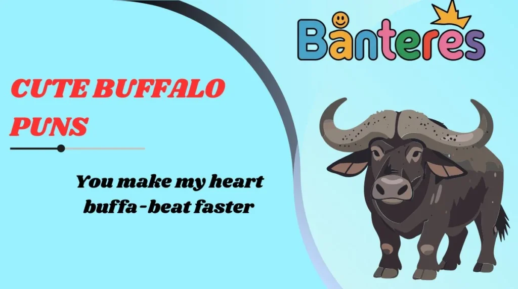 Cute Buffalo Puns