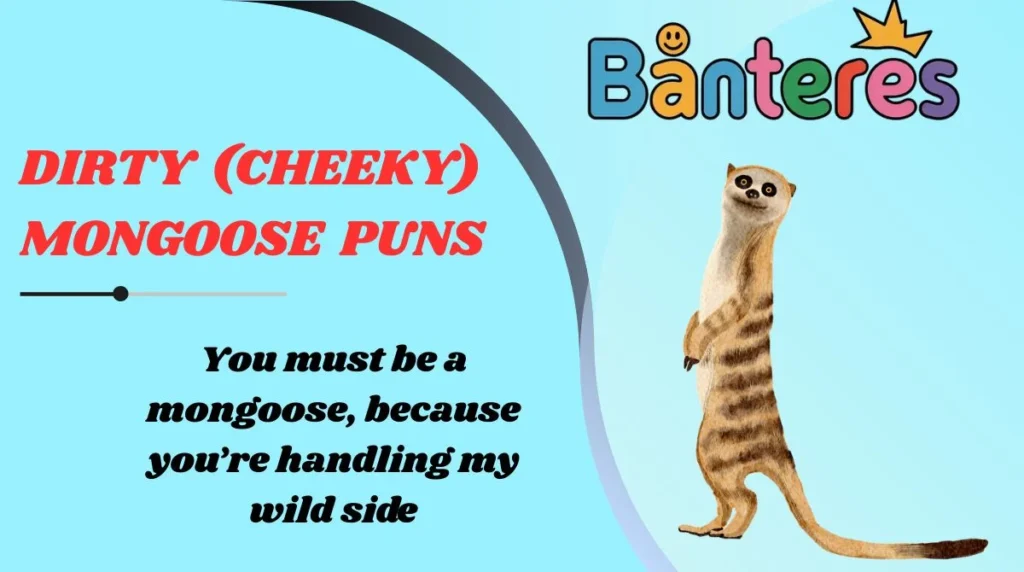 Dirty (Cheeky) Mongoose Puns