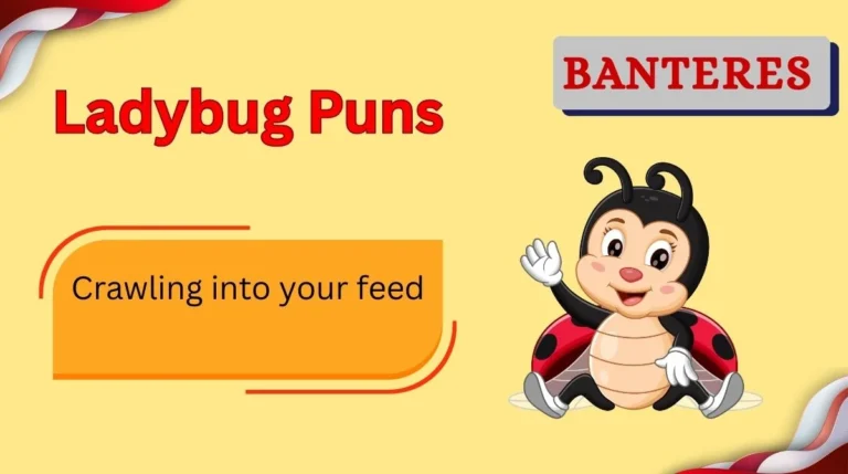 Ladybug Puns