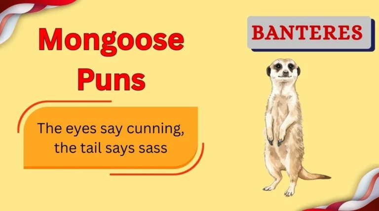 Mongoose Puns