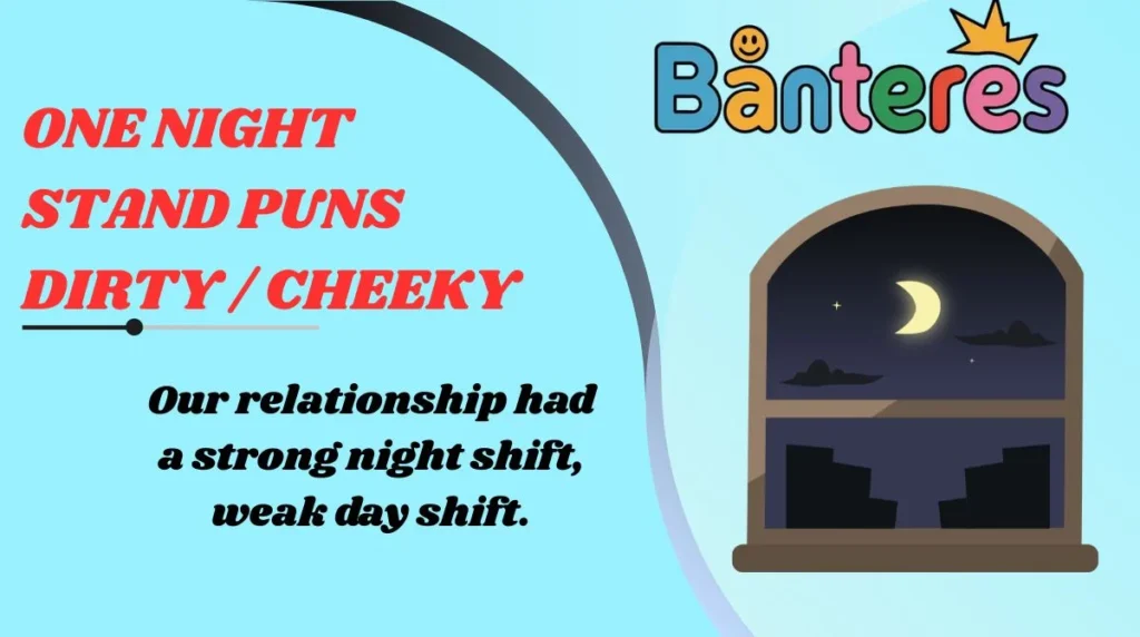 One Night Stand Puns Dirty / Cheeky