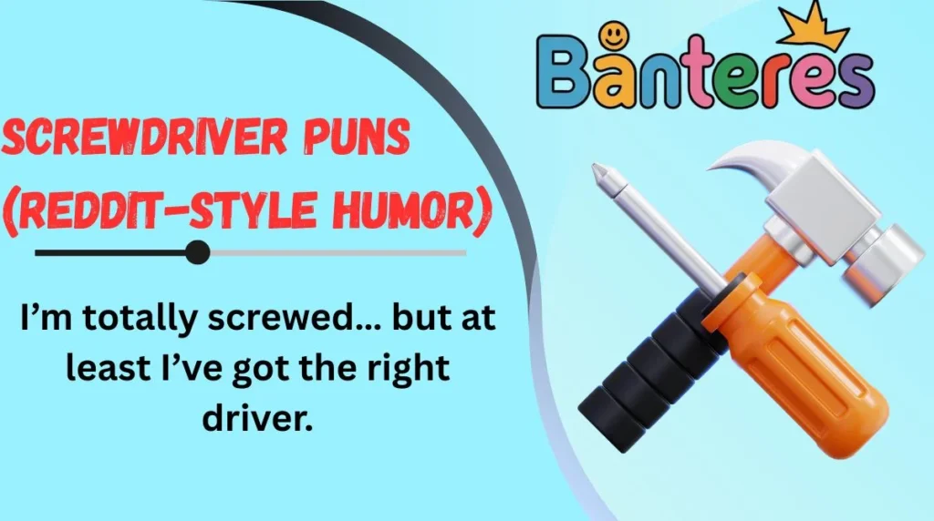 Screwdriver Puns (Reddit-Style Humor)