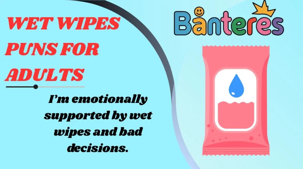 Wet Wipes Puns for Adults