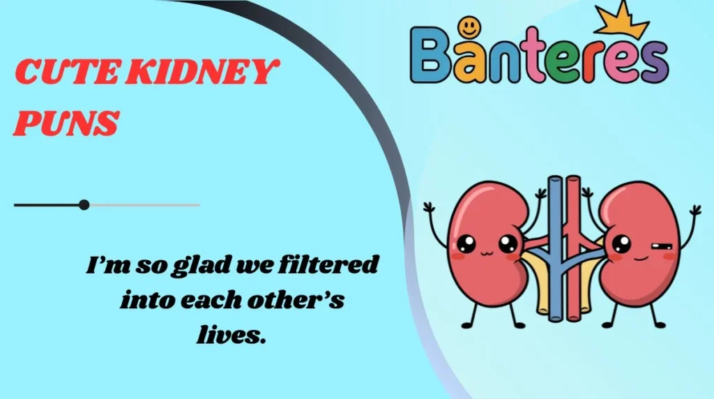 Cute Kidney Puns