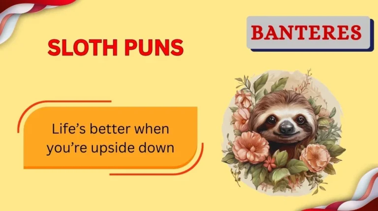 Sloth Puns