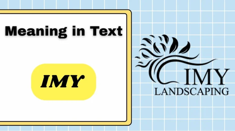 IMY Meaning in Text