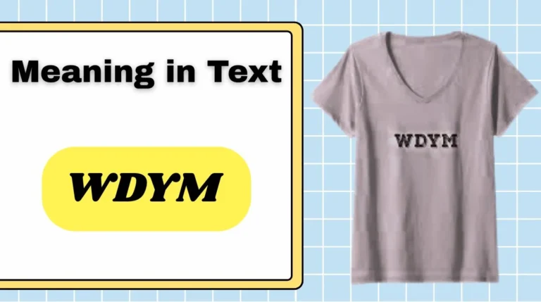 WDYM Meaning in Text